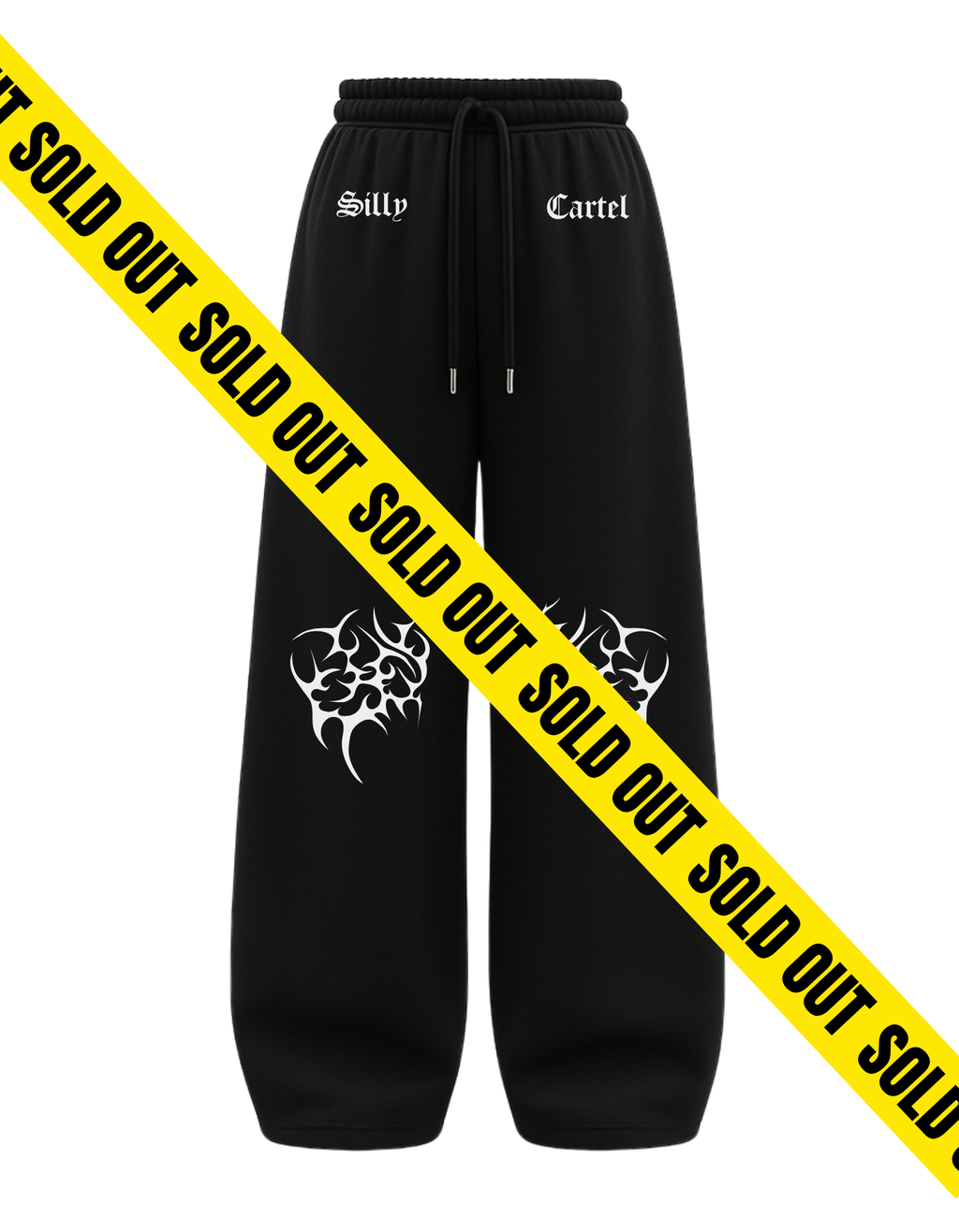 TRANSCENDENCE BAGGY PANTS